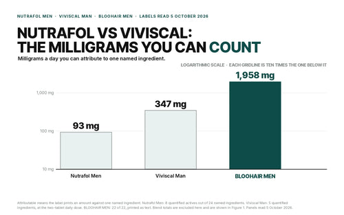Nutrafol Men publishes 93 mg a day attributable to a named ingredient, Viviscal Man 347 mg and BLOOHAIR MEN 1,958 mg of 22 ingredients, on labels read 5 October 2026. Logarithmic scale.