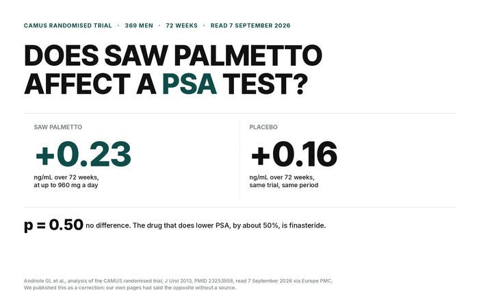 Does saw palmetto affect a PSA test: CAMUS trial, 369 men, 72 weeks, PSA +0.23 ng/mL on saw palmetto against +0.16 on placebo, p = 0.50; finasteride lowers PSA by about 50%
